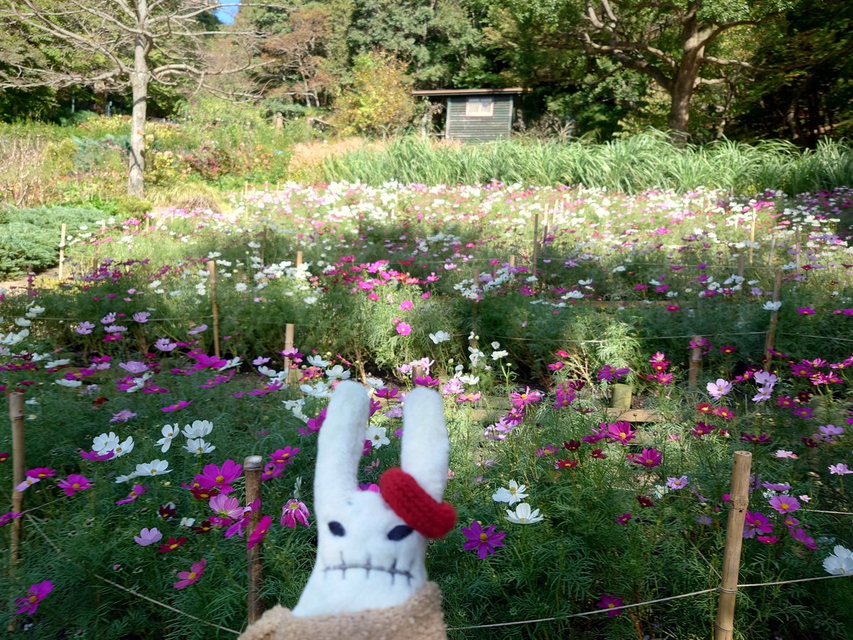 有村南海　のぼり　当選品　FANTASTIC WORLD LinQ ゆゆゆ on X