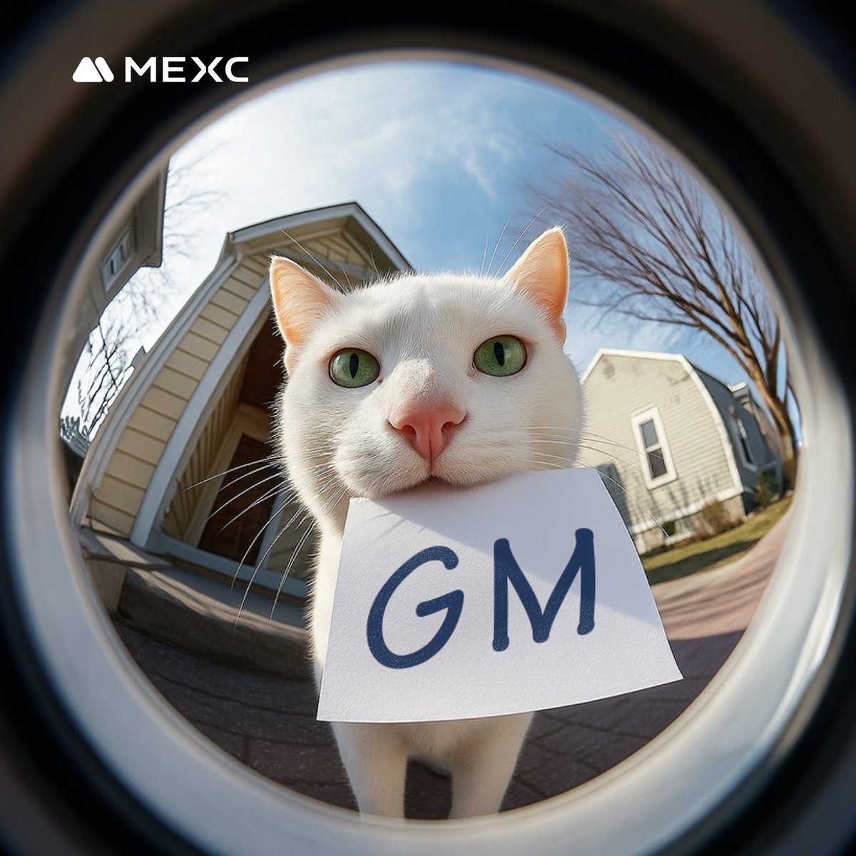 MEXC_Listings's tweet image. GMGMGM!

Which coin is at the top of your watchlist this week?