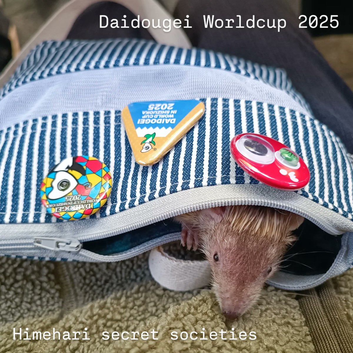 あかめぐ✨ あぐ姉. on X