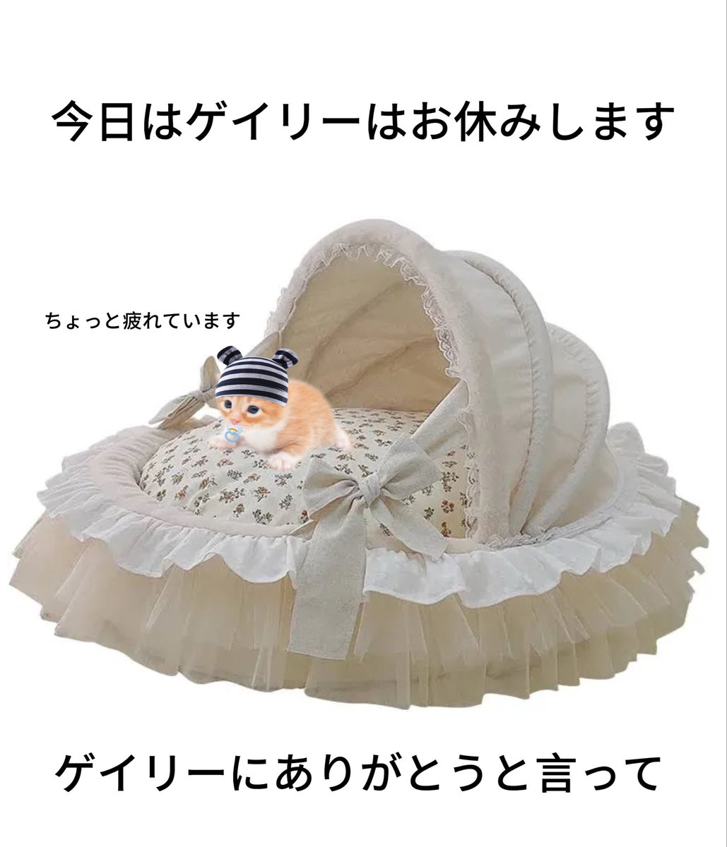 ぐちきん (@guchikin_games) / Posts / X