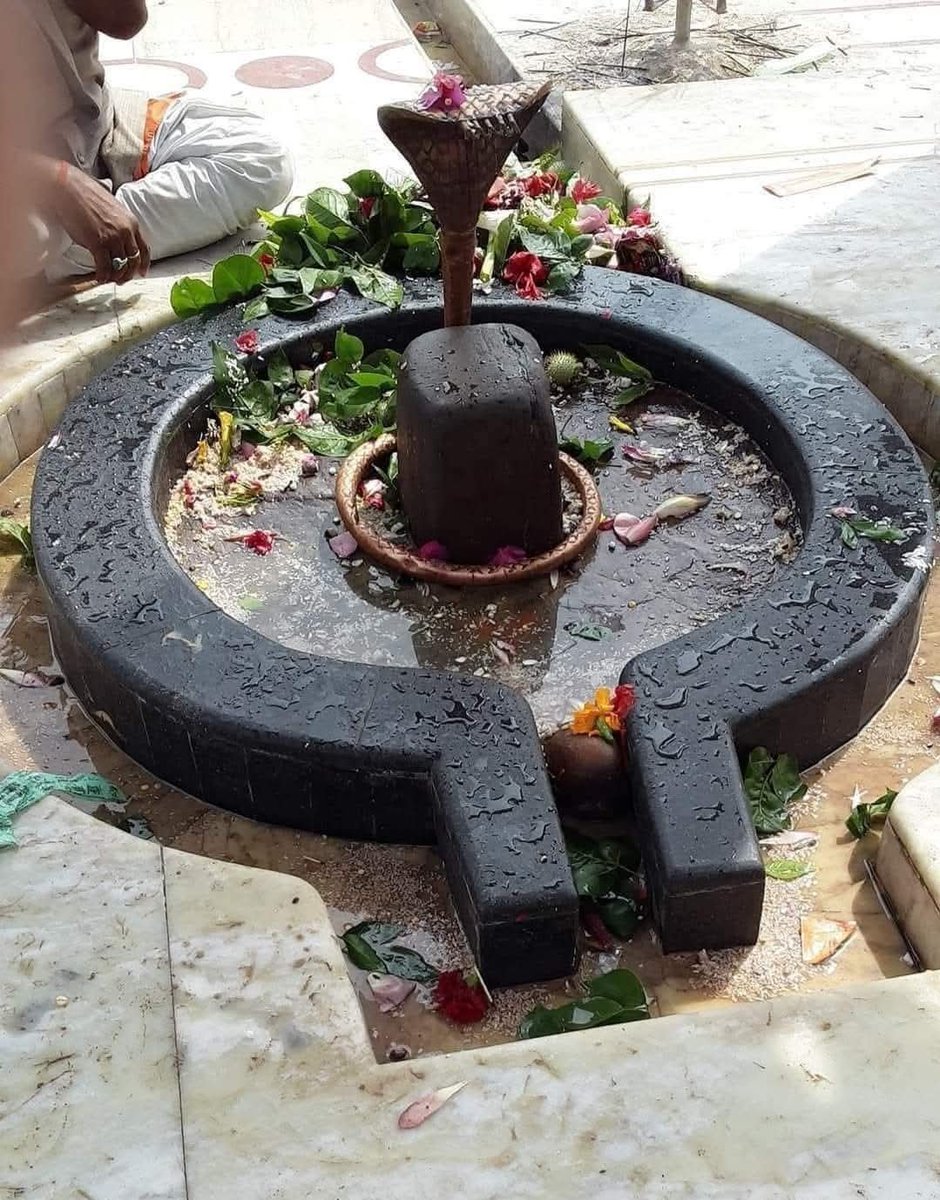 Rajesh Kushwaha tweet media