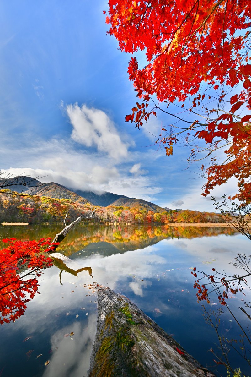 観音沼森林公園 #空ネット #ふくいま 下郷町の観音沼森林公園、今年も