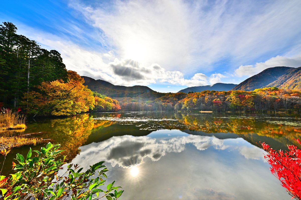 観音沼森林公園 #空ネット #ふくいま 下郷町の観音沼森林公園、今年も