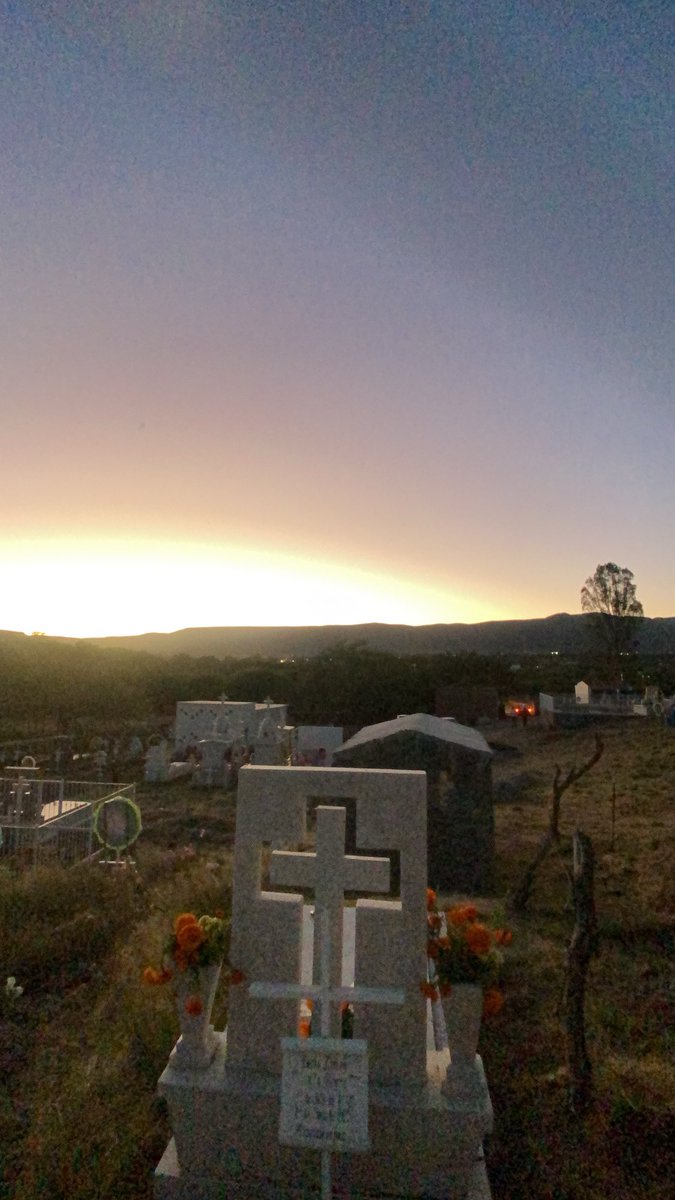 off2percs's tweet image. Day of the deads