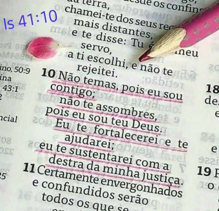 livrodaprofecia's tweet photo. https://t.co/i1smKXp0Bl