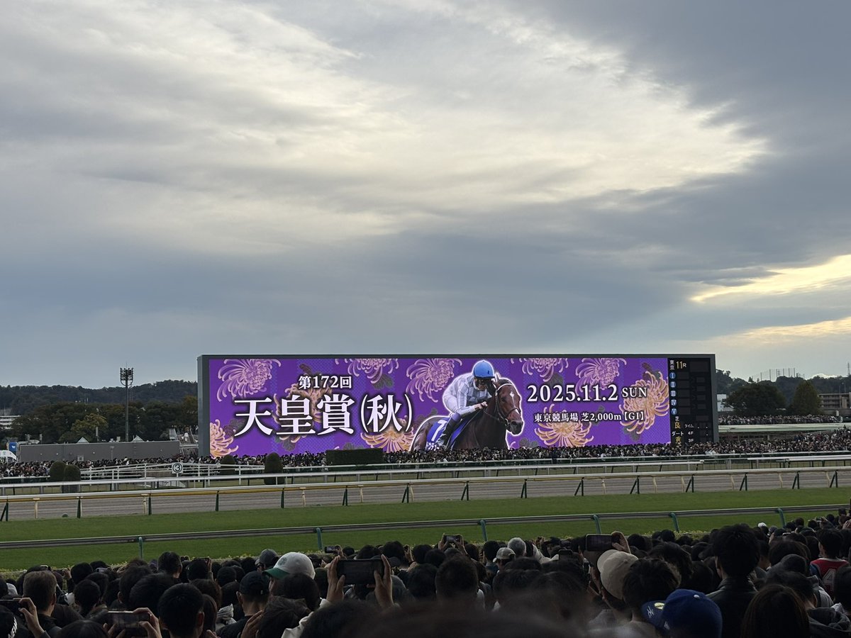 マシュマロ (@shizu_iloveyou) / Posts / X