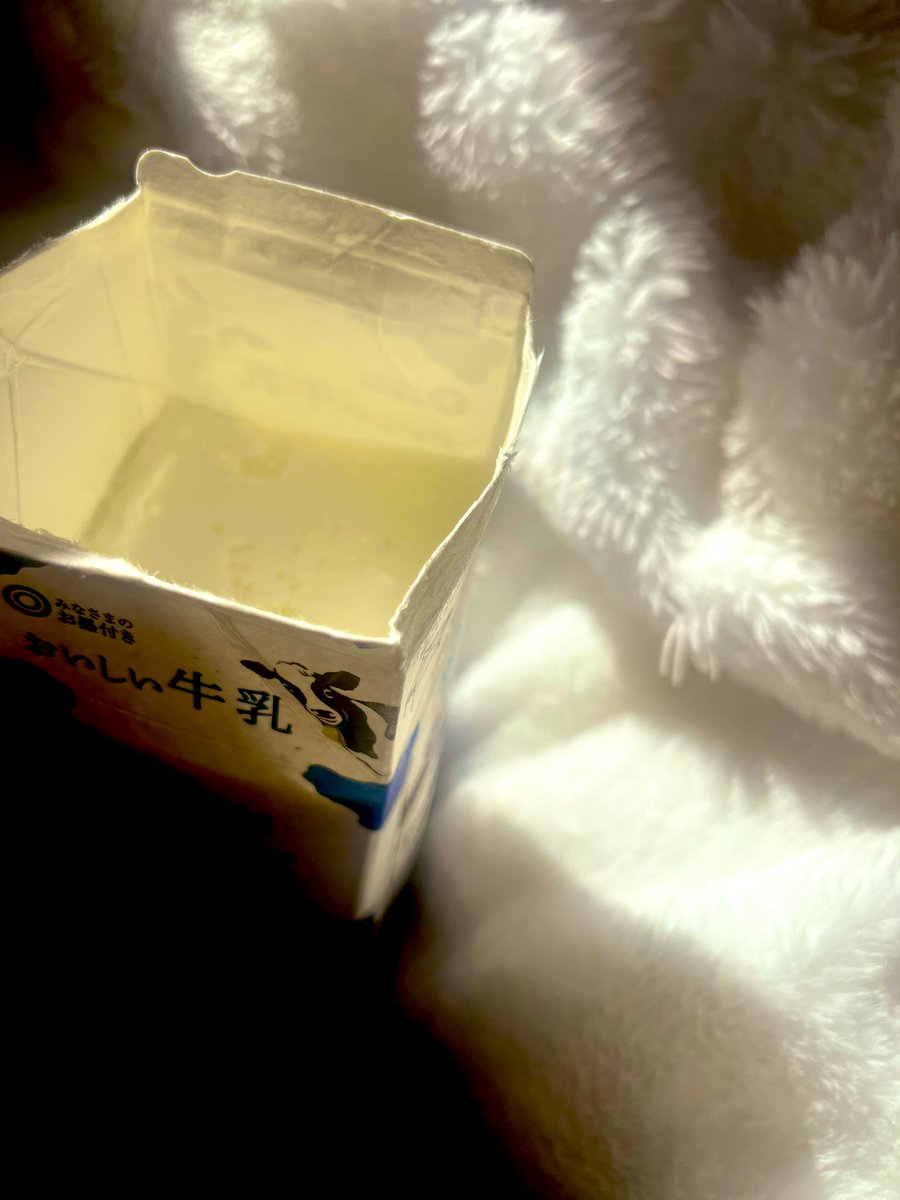 あーり様 109717 1/12完成品バイク KAWASAKI Ninja ZX-25R メタリック