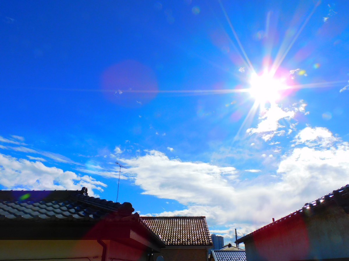 めるめるめ めるめるめー (@melmelmelme3) / Posts / X