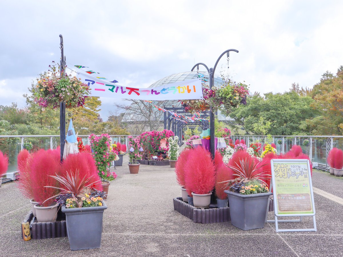 【フィンチ用】梅と桜のフィンチTree バードスタンド フィンチ用】梅と桜のフィンチTree バードスタンド フィンチ用