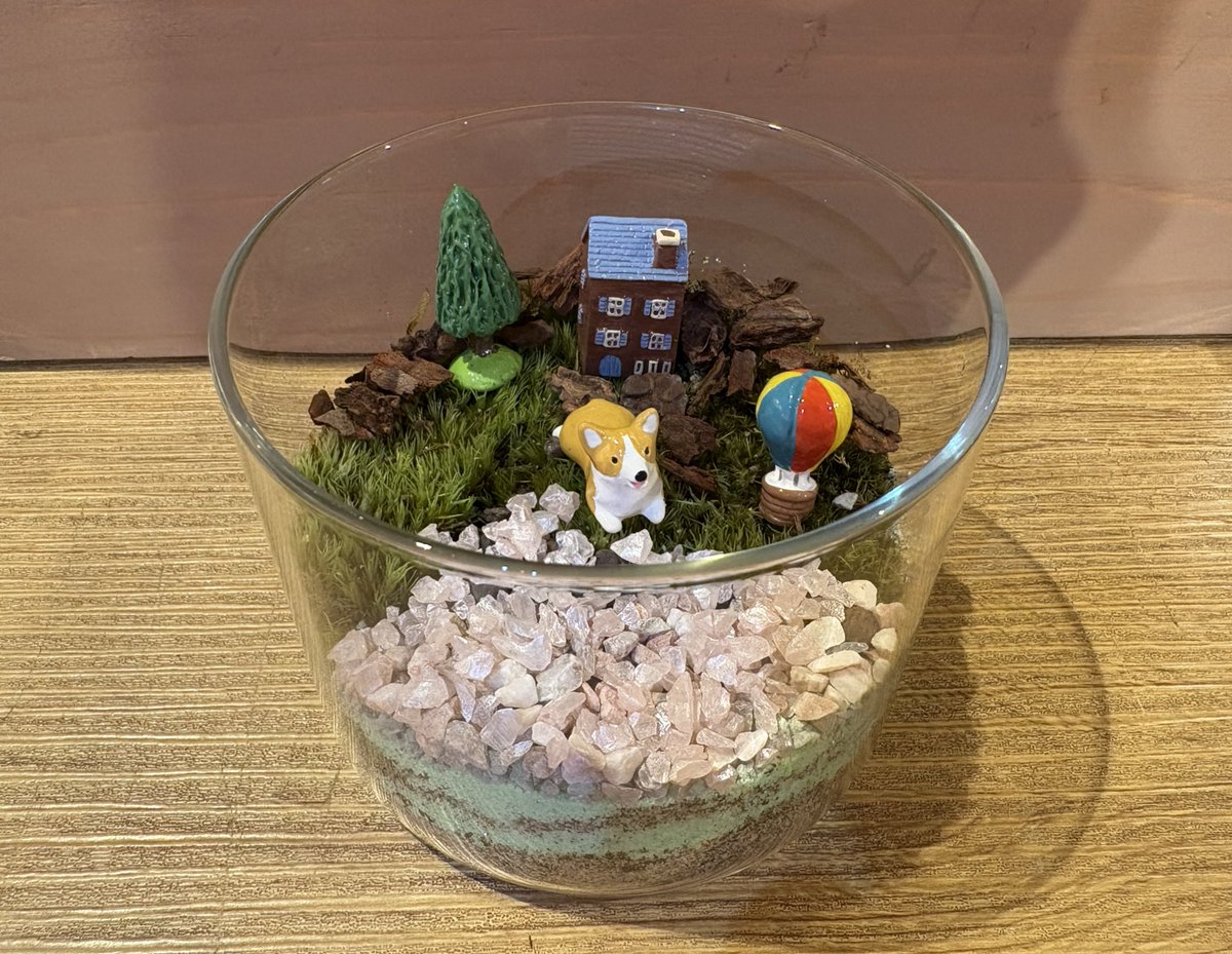 ヨルシカテラリウム

苔テラリウムに挑戦してみた✨
またチャレンジしたい!!!!
