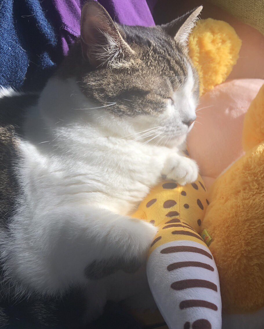 ハッピー＆サクラ on X