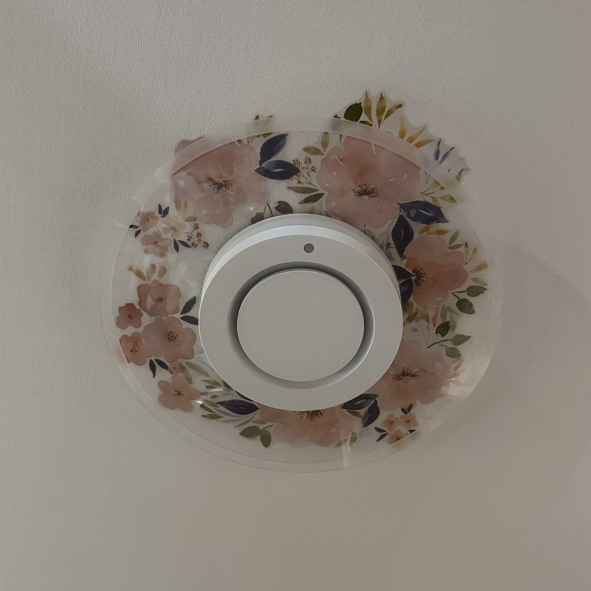 りえぞー。🍓🍓⭐️🍓🍓🍓️ on X