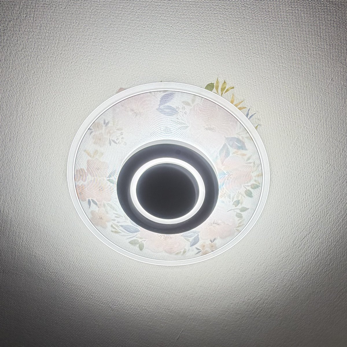 りえぞー。🍓🍓⭐️🍓🍓🍓️ on X