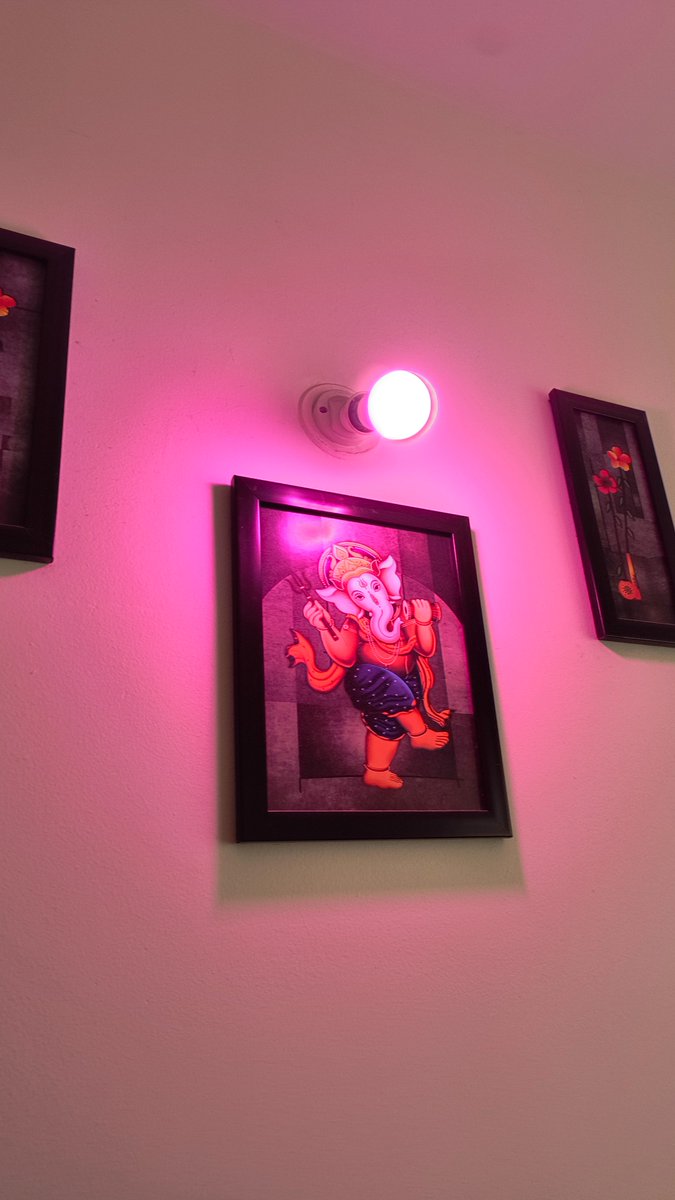 the2ndfloorguy's tweet image. My zerodha stock portfolio now controls my bedroom lights. It turns red when I lose money.💸 🔻