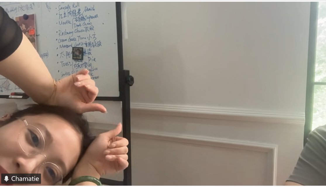 helloadofaer's tweet image. 会議の三大勢力：話す人、うなずく人、カメラでふざける人  

#Adofaer #WorkFun