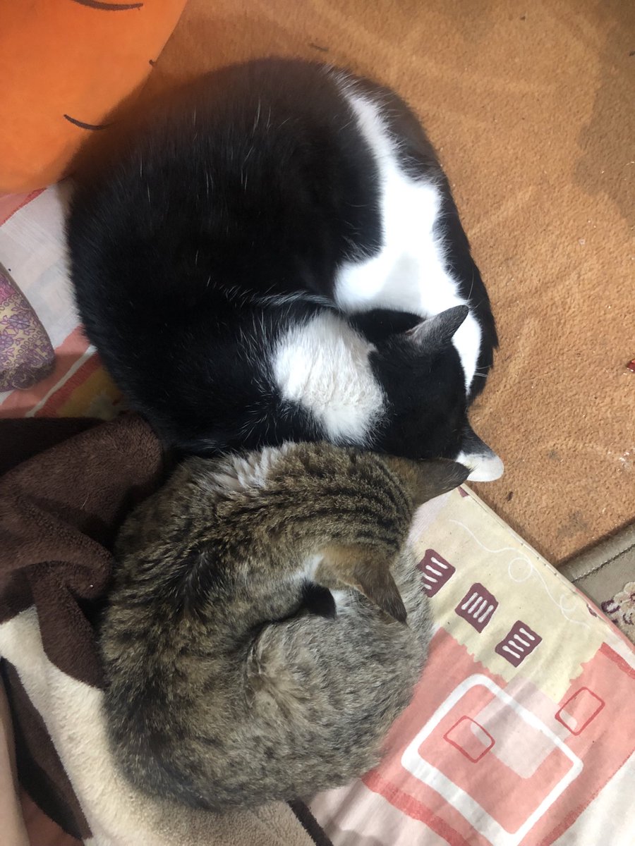 ترکیبی می‌زنی خاله؟ 🥺