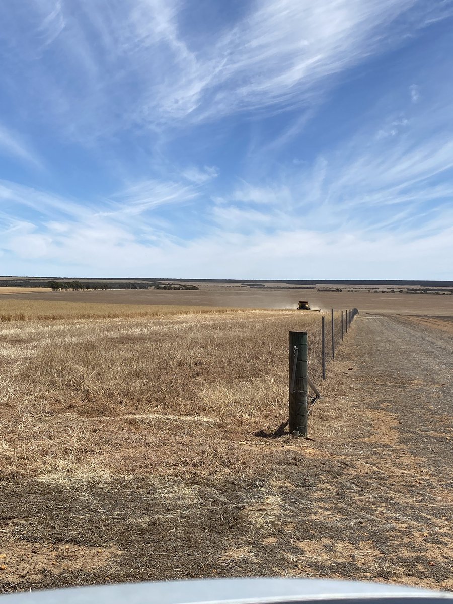 MrsJusak's tweet image. Harvest Humour Day 1:

What did one wall say to the other?

I’ll meet you at the corner!

Kicking off the harvest program with a lunchbox delivery.

Good luck to you all