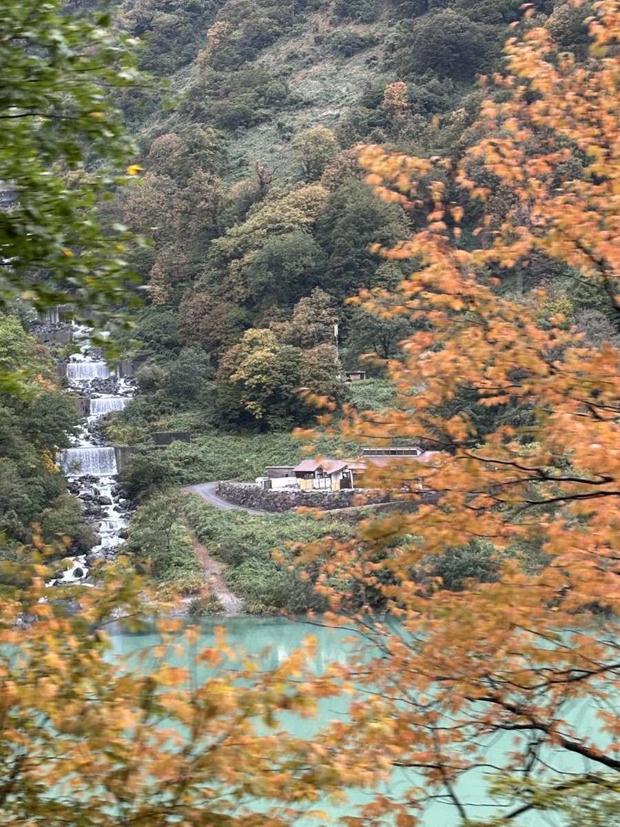 mxmaasa's tweet image. 今回の旅では富山に行って、
トロッコ列車で紅葉堪能しつつ、
秘湯にアタックしてきました😆✨

いいお湯だったわ♨️
混浴だけど、誰もいなくて
我が家だけで貸切だった✌️
#黒部峡谷トロッコ電車
#黒薙温泉 
#秘湯