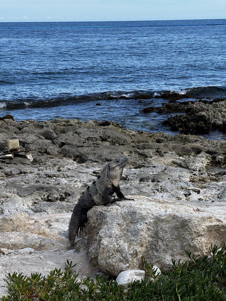 SihanSean's tweet image. Wonderful conference organized by @zz_zhaozhang @regenberg_lab @Fusion_Conf. Congrats to @stanleylim93 for the #1 best poster. And PI got awarded for his nosiness on other people’s research. Photo credits to @PeterLyLab