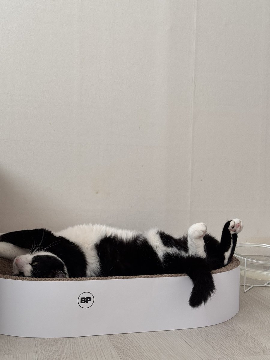 따신 것도 자는 것도 참으로 좋아헙니다