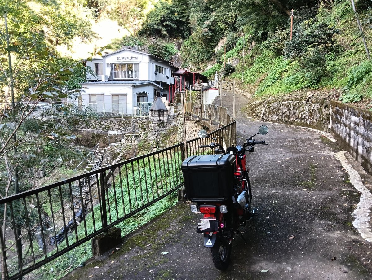 かめはめは かめはめは (@oh_kamehameha) / Posts / X