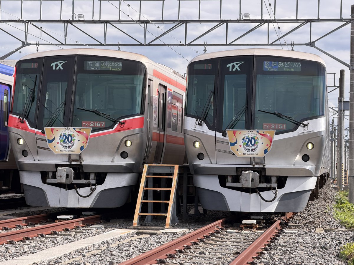 はっぱ (@happapom) / Posts / X