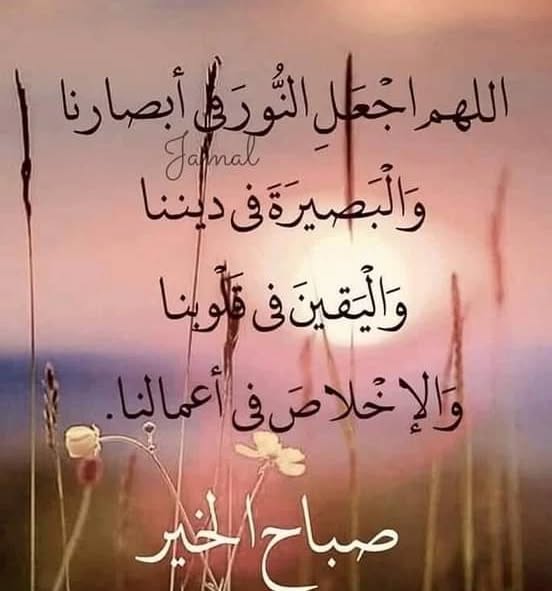 ابو نور (@t9ops2qenit6adp) on Twitter photo 