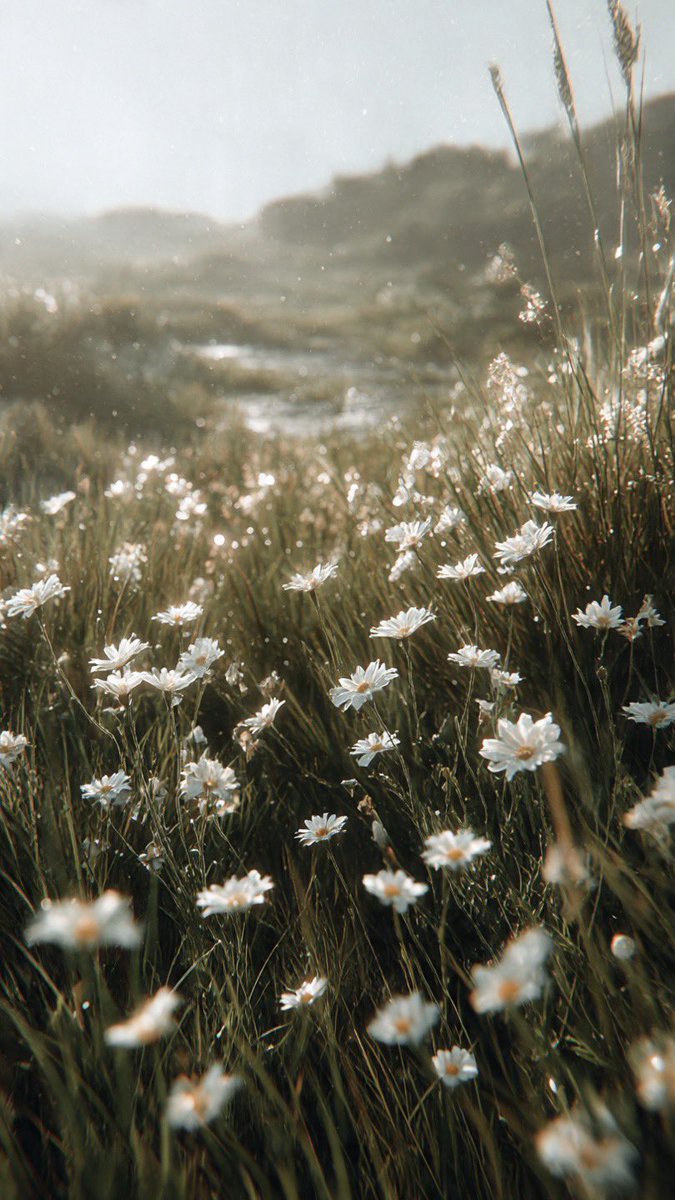 أحيانًا مش لازم تغيّر حياتك كلها،
كل اللي تحتاجه «نَفَس» جديد، فكرة هادئة، وابتسامة صافية تقول فيها:
لسّه في خير جاي. 💫

وصدقني… لما تنوي تبدأ بخير،
ربك بيفتحلك أبواب ما كنت تتخيلها. 
#صباح_الخير 
#صباحيات 
#صباح_الأشياء_المُشرقة