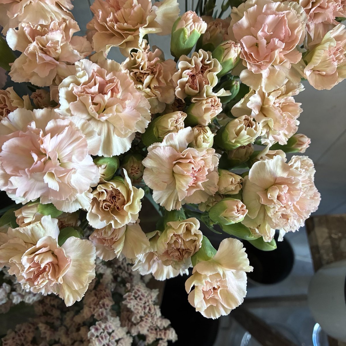 さくらんぼ Sakuranbow (@sakuranbow20) / Posts / X