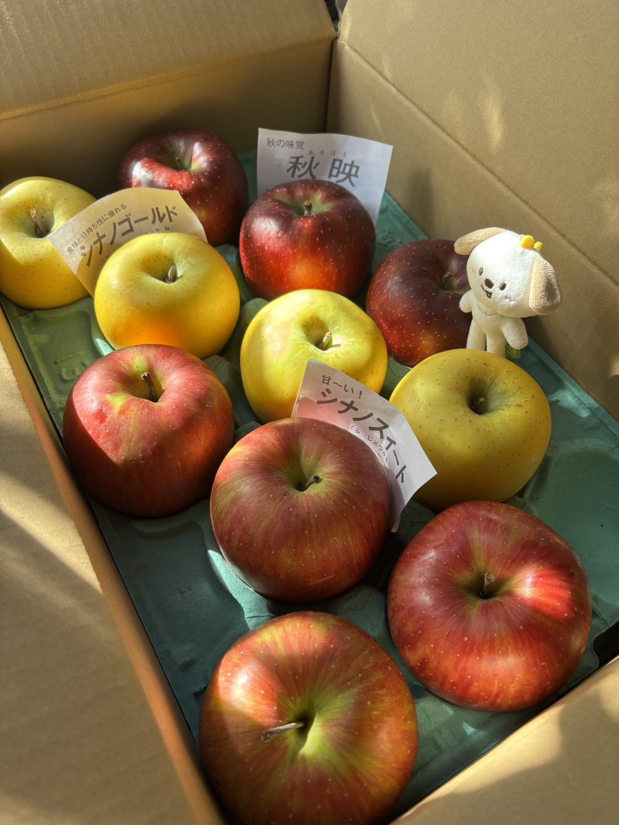 りんごのオカミページです♪ あだみ on X