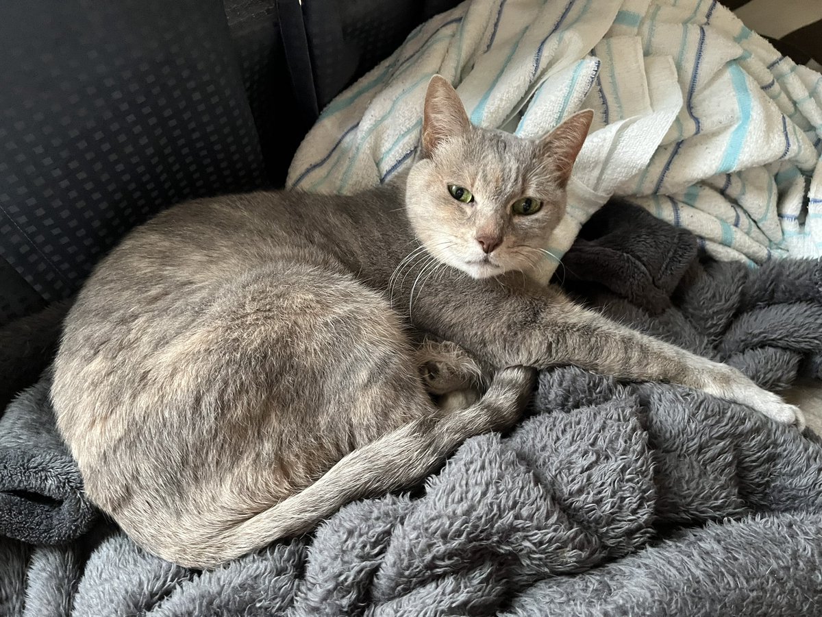 リック (@rick040816) / Posts / X