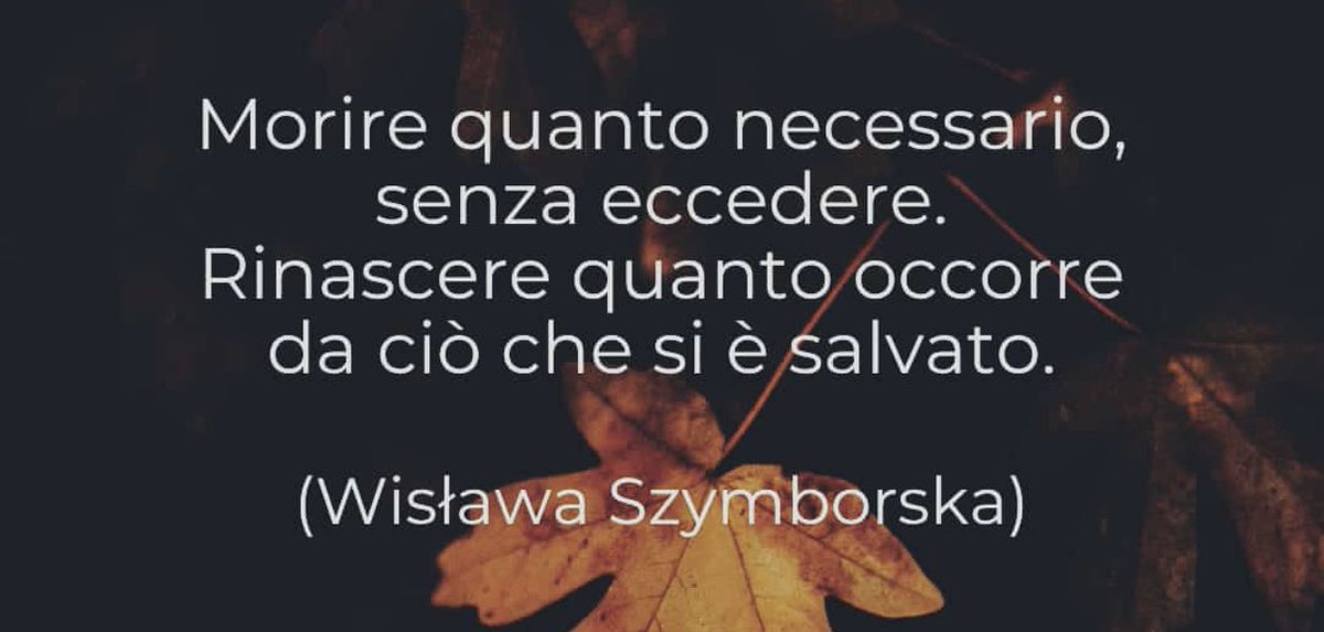 giuseppe d'urso (@dursoaltamoda2) on Twitter photo 