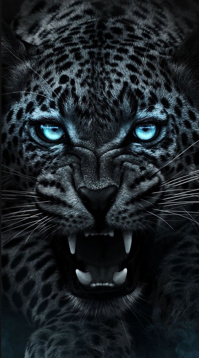 CHEAT AAAAAH
FASTAH FASTAH