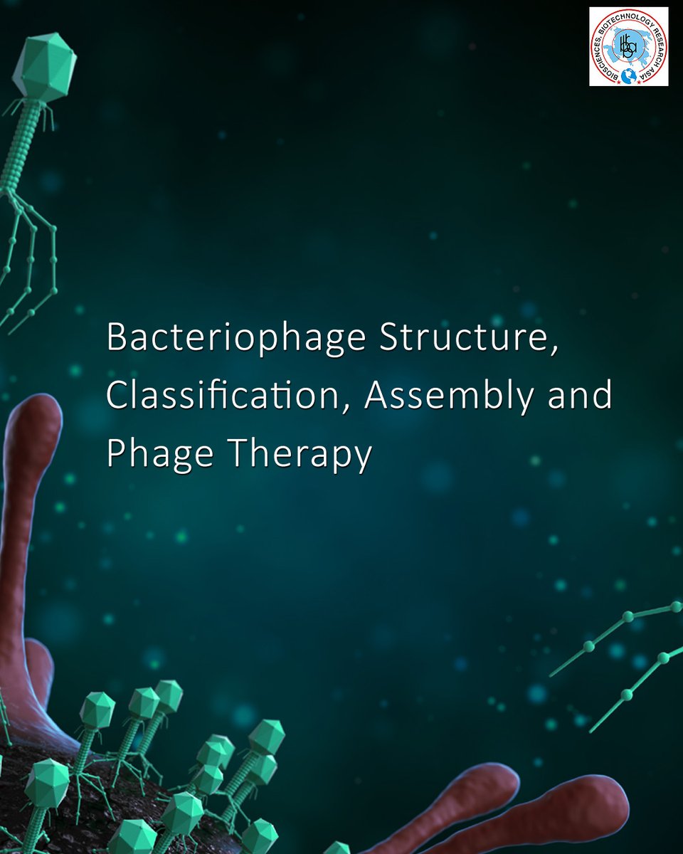 biotech_asia's tweet image. Revisiting bacteriophages — nature’s oldest yet most promising weapon against antibiotic resistance.

Read the Article here: bit.ly/3jbyqA5

#BacteriophageResearch #PhageTherapy #AntimicrobialResistance #Microbiology #InfectionControl #PhageBiology #MDRBacteria