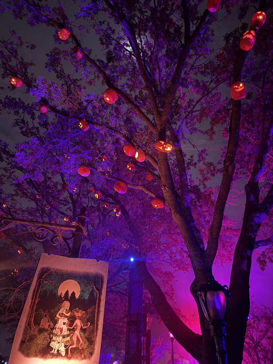 Jodicab22's tweet image. Goodbye to a hell of an #HHN! I had grand let’s close it out thoughts but my old hit. 

Thank you to everyone we saw tonight for saying hey! That’s what this is about! 

Thank you to all the people who make it happen! Be proud!

Goodnight! 

-spooky kids spooking kids