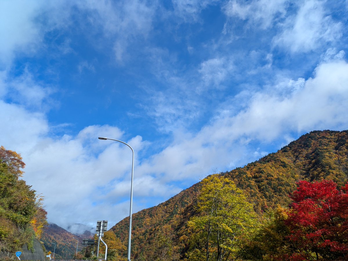 udakapikapi's tweet image. 青空が味方してくれました🍁