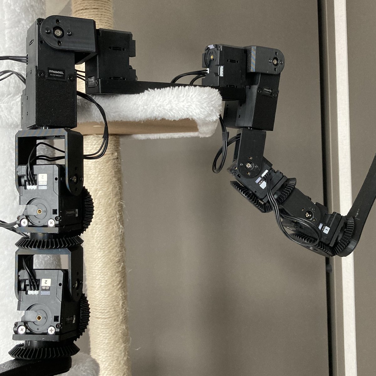 壬戌 小林竜太 on X