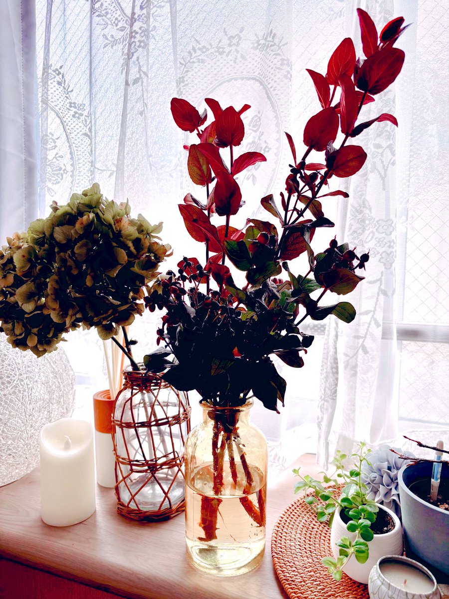 cstkhs's tweet image. 初めてフリマアプリ使ってみた🛍️

防災用に購入したカセットコンロ用ボンベ15本、場所を取って困る＆消費期限的にもぼちぼち使い切った方が良いタイミング💦

近所に取りに来ていただく条件で0円にて譲りますと出品、数分で希望者現れ2時間後には引き渡し完了☑️便利すぎるわ😆💓

上機嫌で花買うた〜💐