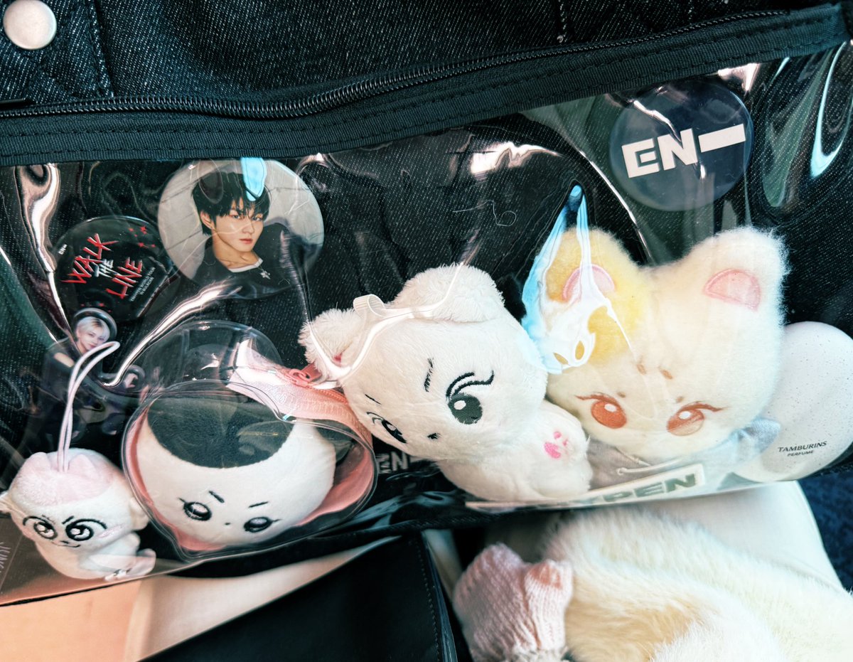 のんのんページ のんのん on X