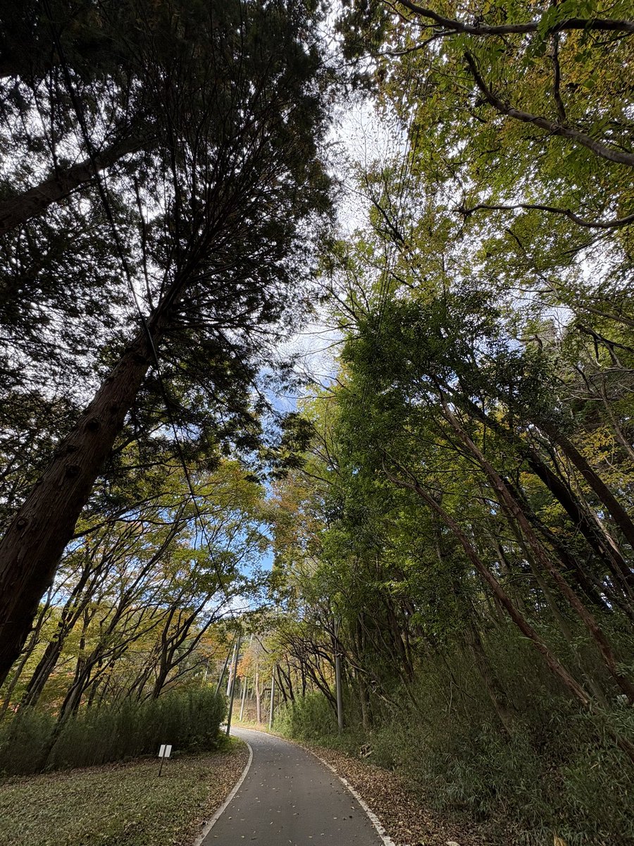 momopu-♡ページ シアートップスたくさん持ってるんだけど 色の偏りがすごいので(黒が3