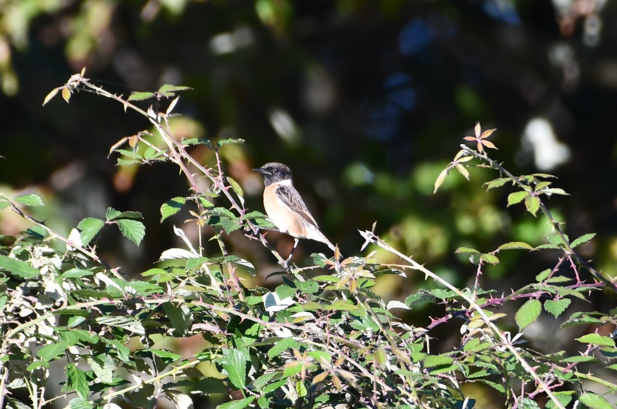 J@a.p (@jose_ap19) on Twitter photo 