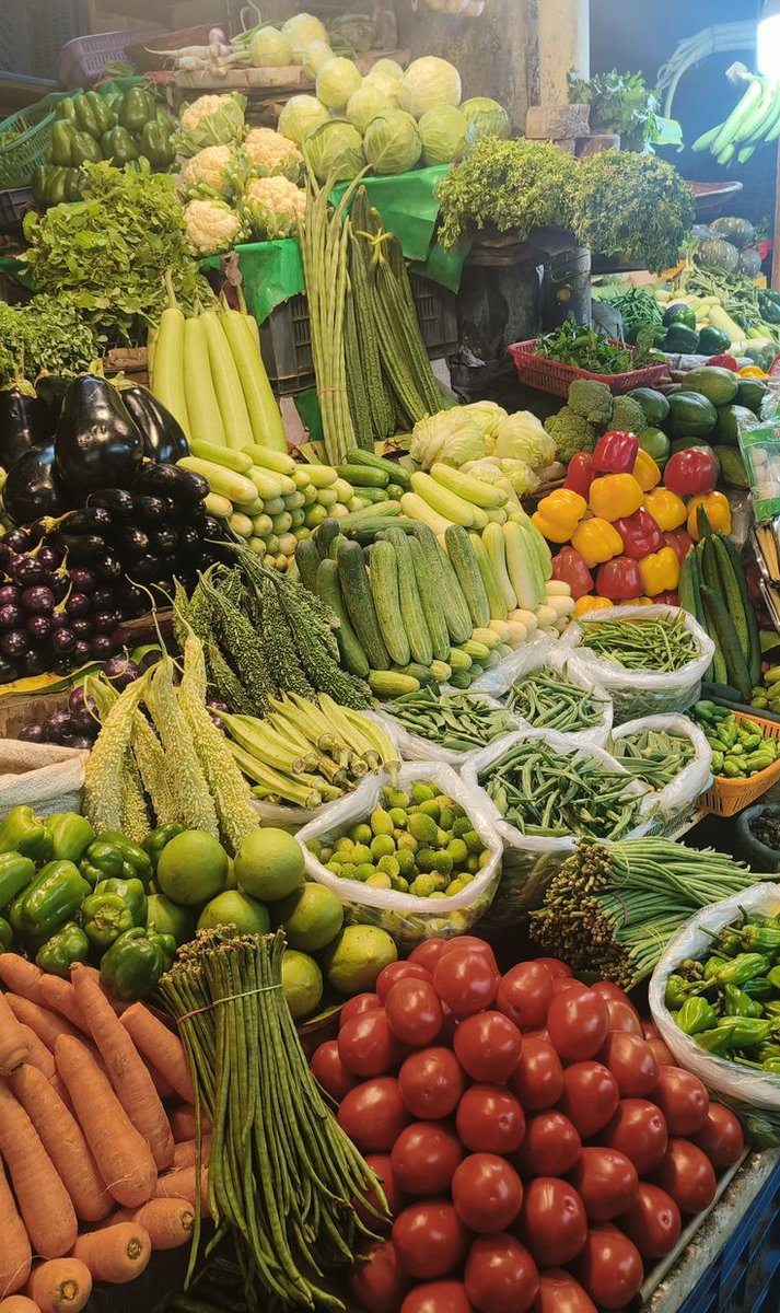 Did you know?💡

Kenya's horticultural sector contributes 33% of our agriculture GDP, yet only 20-30% of farmers use digital agriculture tools.

At Datascience Limited, we're helping bridge that gap through transparency, collaboration and smarter data systems.