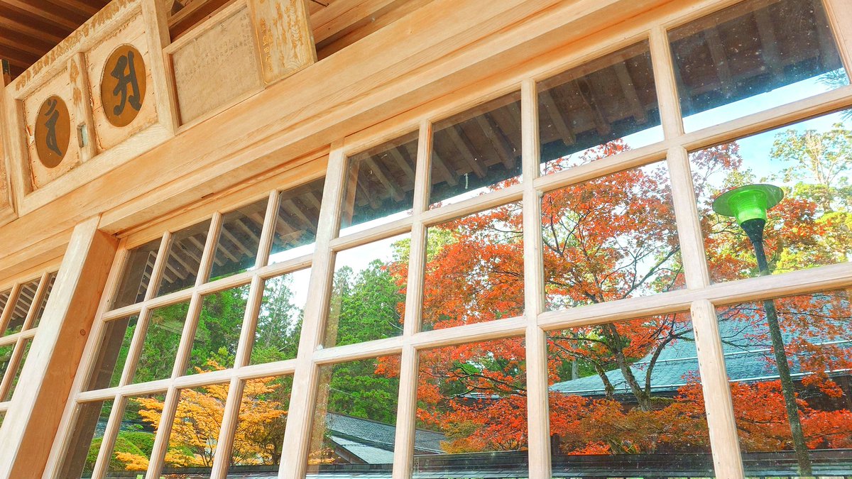 今朝7時半くらいの高野山、奥の院です。
雨上がり。薄曇り。強い風。
よく冷えてて寒いです。

モミジと桜の葉っぱは赤く、イチョウは黄色く色付いてます。
見頃です。
カメラマンいっぱい！

奥の院前、中の橋駐車場は『無料開放中』って書いてありました。
#高野山 #奥の院