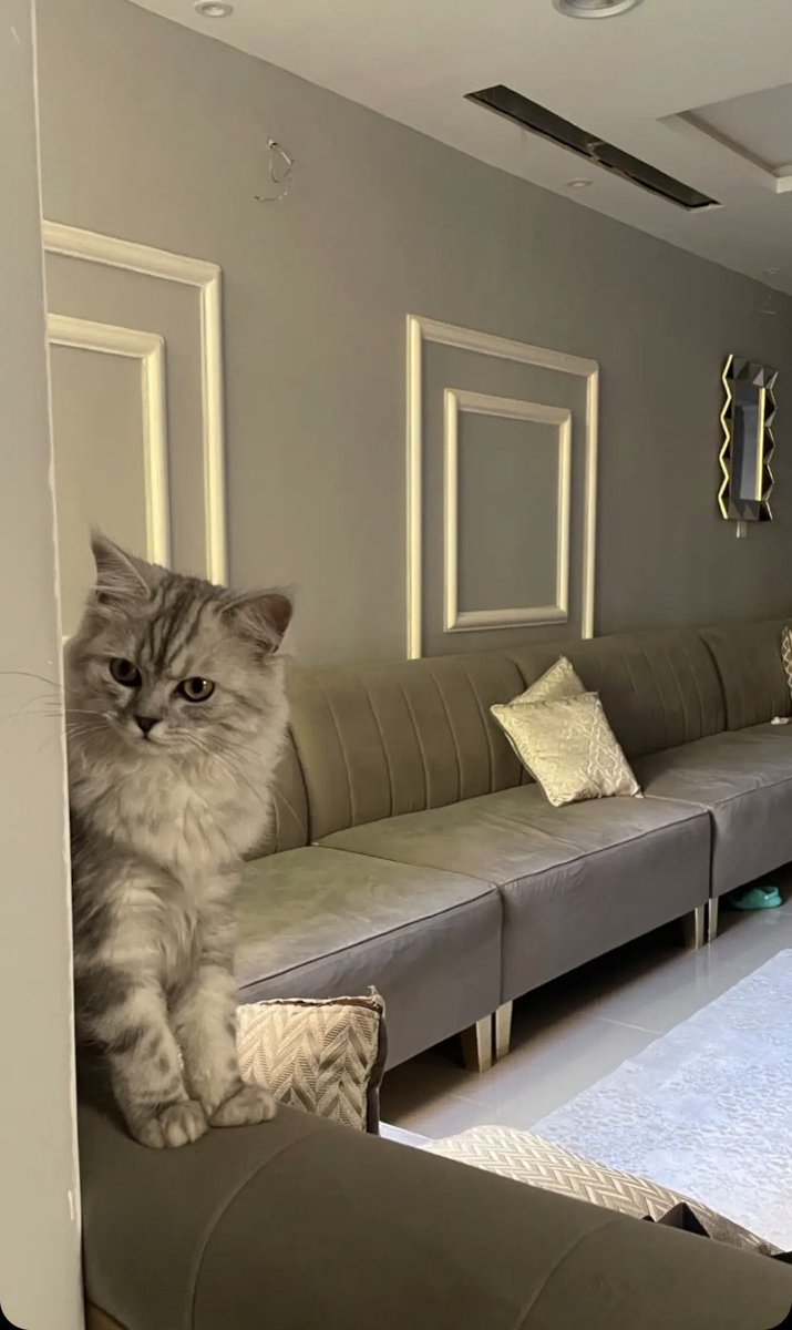 itzAii10's tweet image. 