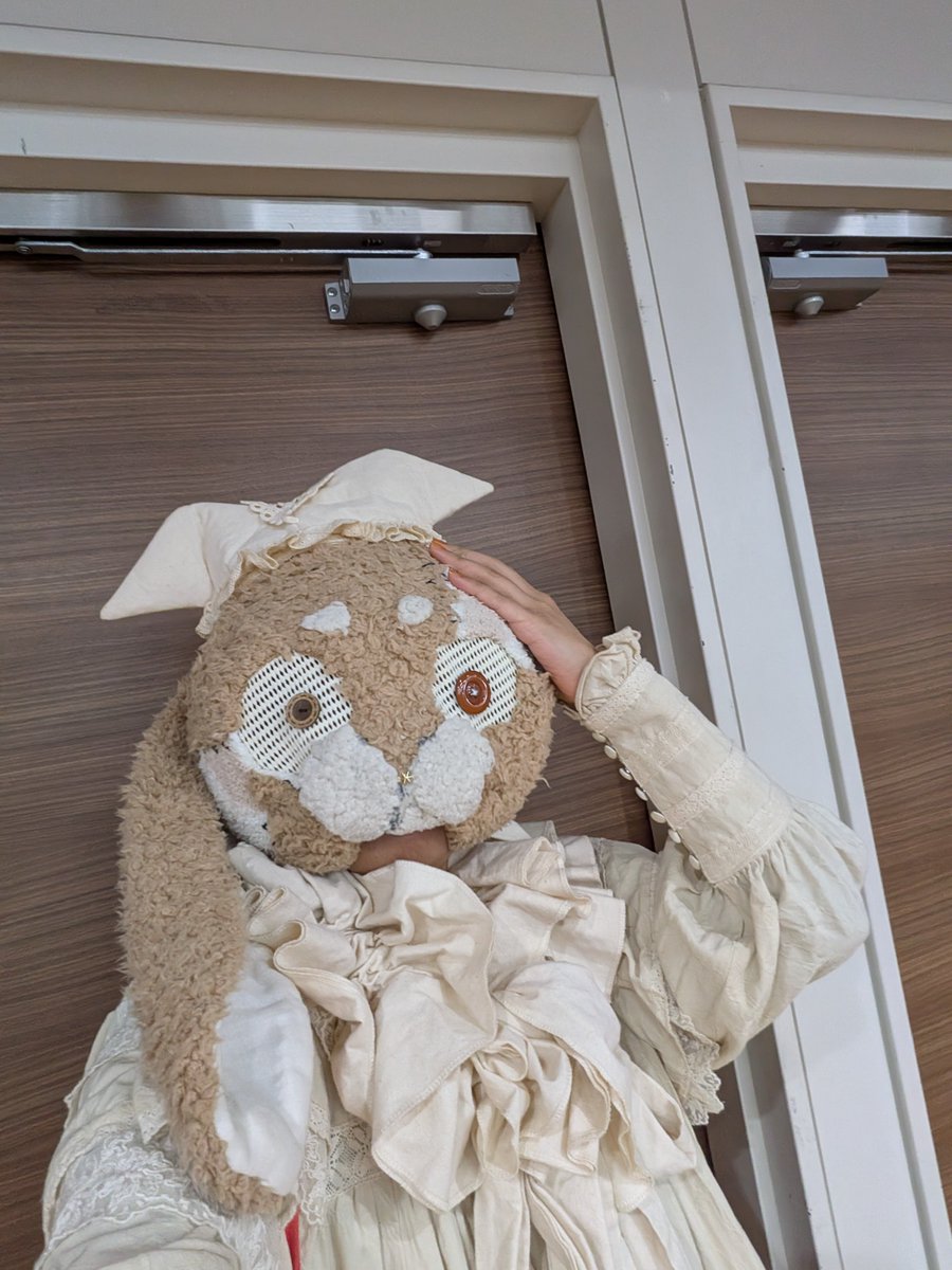 さなぎ🤡めありぐんど🎪 (@Nsan919) / Posts / X