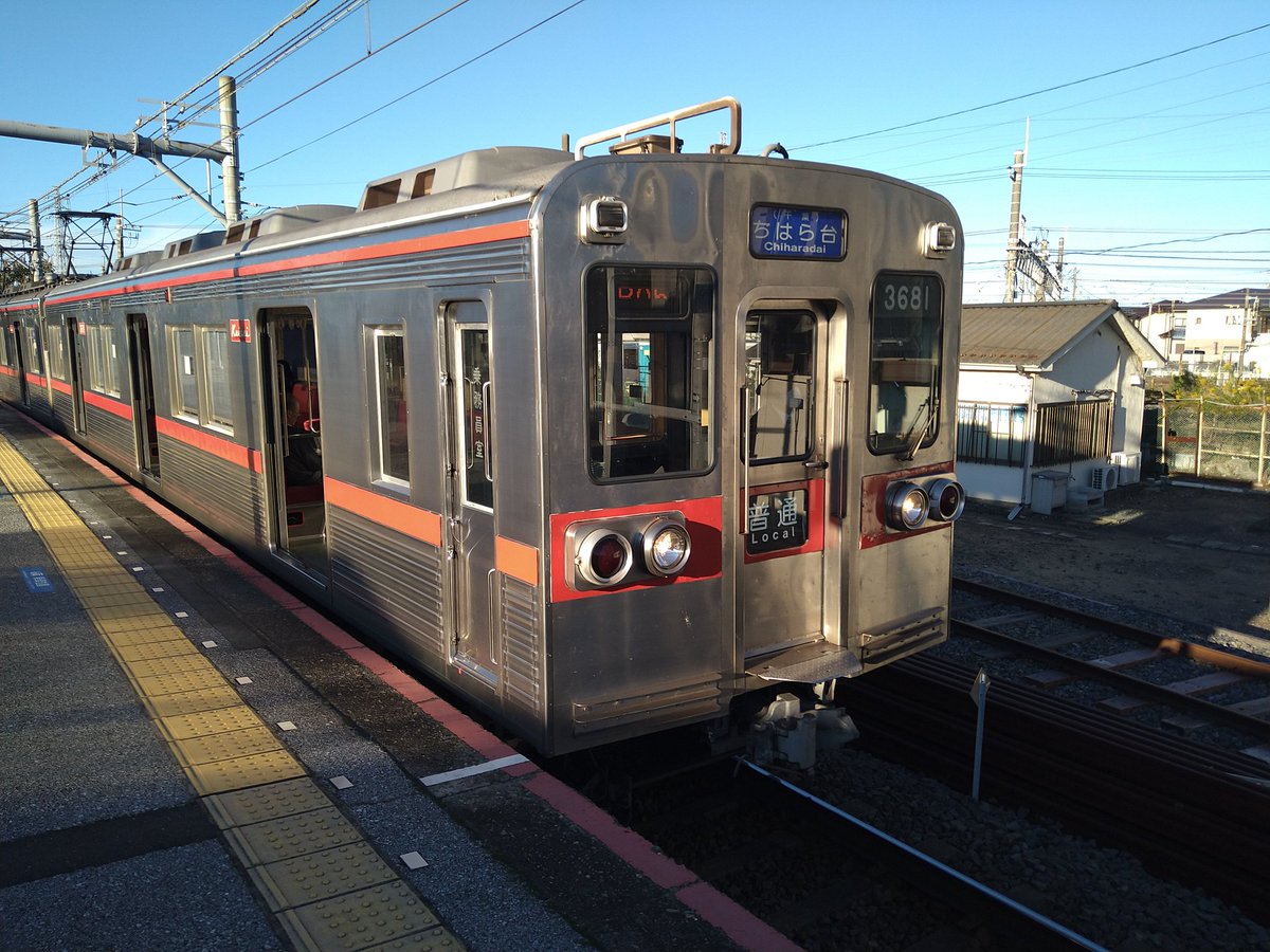 ふわふわずらまる (@FS372WTK521MT54) / Posts / X