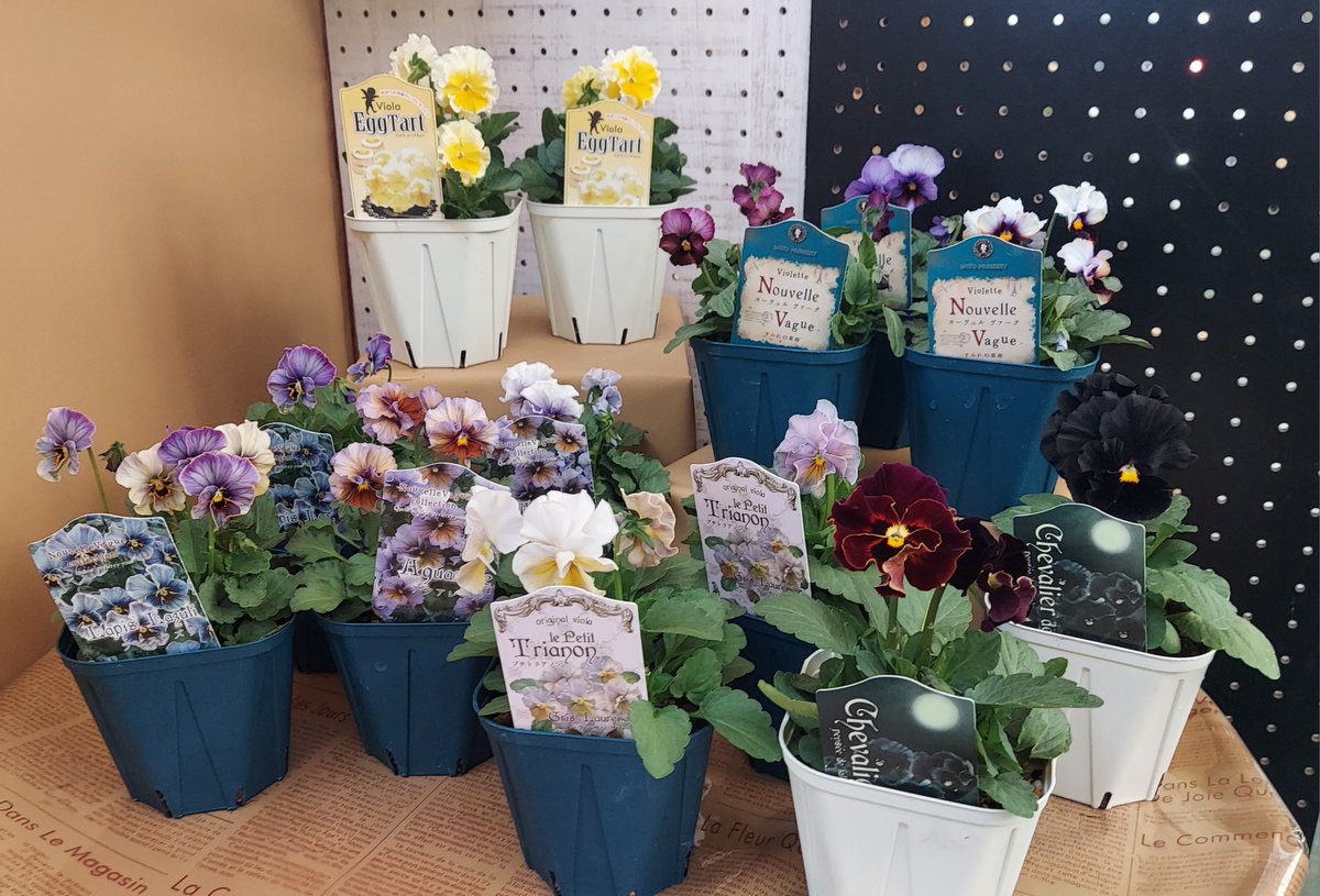 ジョイフル本田 ガーデンセンター on X