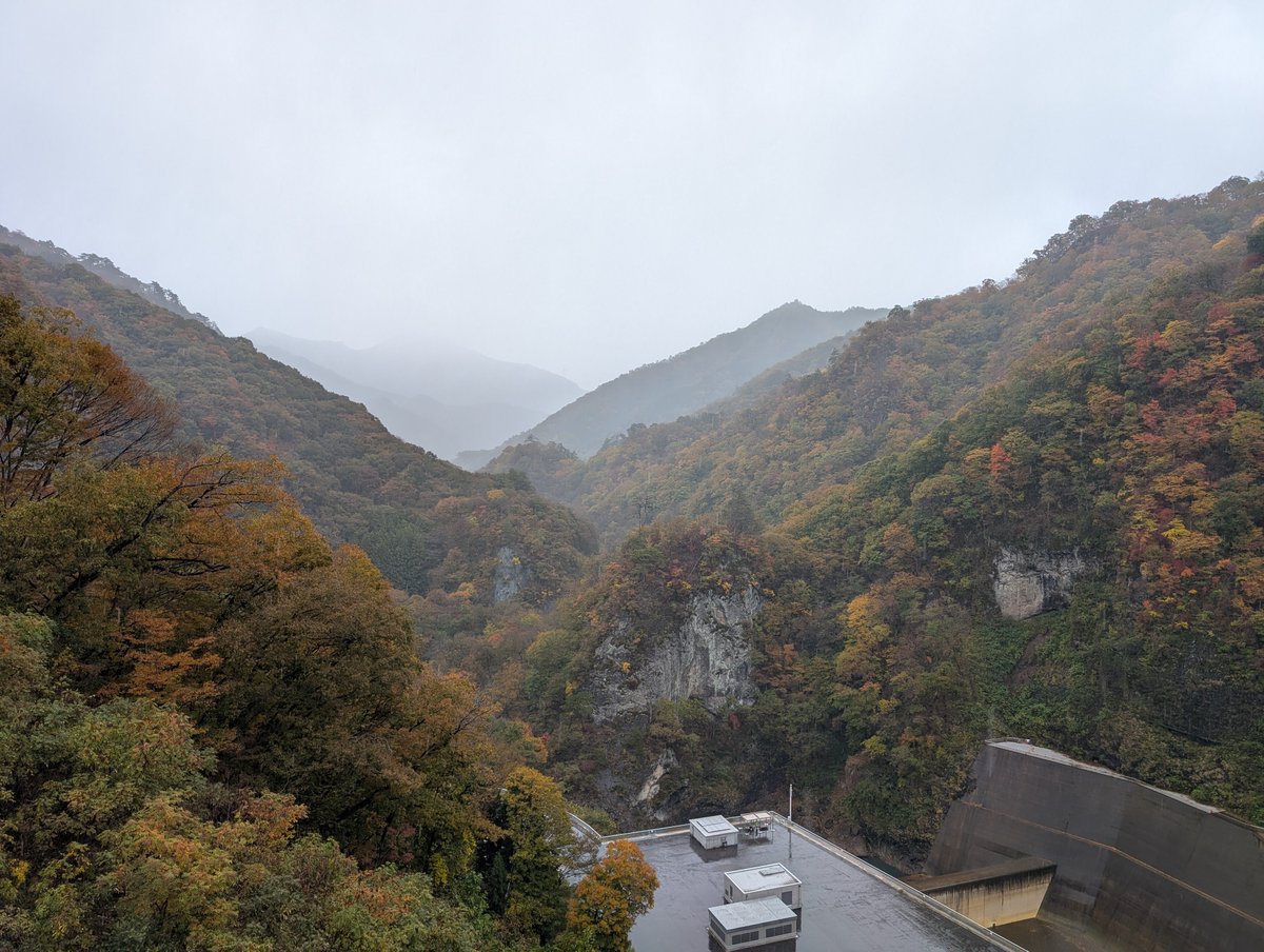 赤魔道士みっちい (@red_magician) / Posts / X