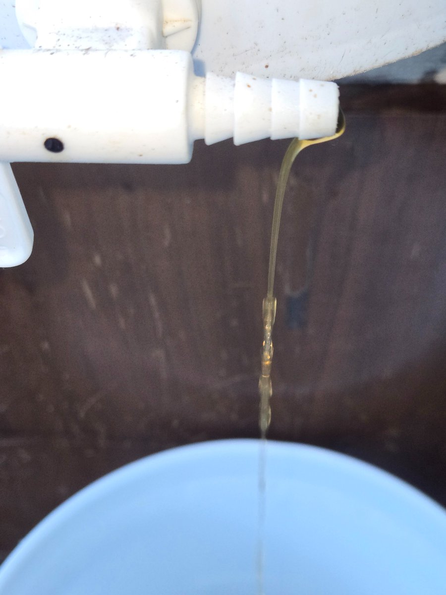 Vecosystem_t's tweet image. 🫡Drained my #Bokashi bucket for it&apos;s #Leachate  #Tea today🥳! It&apos;s got such a strong pickled sweet fermentaion smell💪🥒🍬🍵👃☺️. 

Going to dilute 1:100 and water some plants with @plant2earnxyz 💧🪴

#composting @cleanify_vet #VeBetterDAO #Vechain #Sustainability