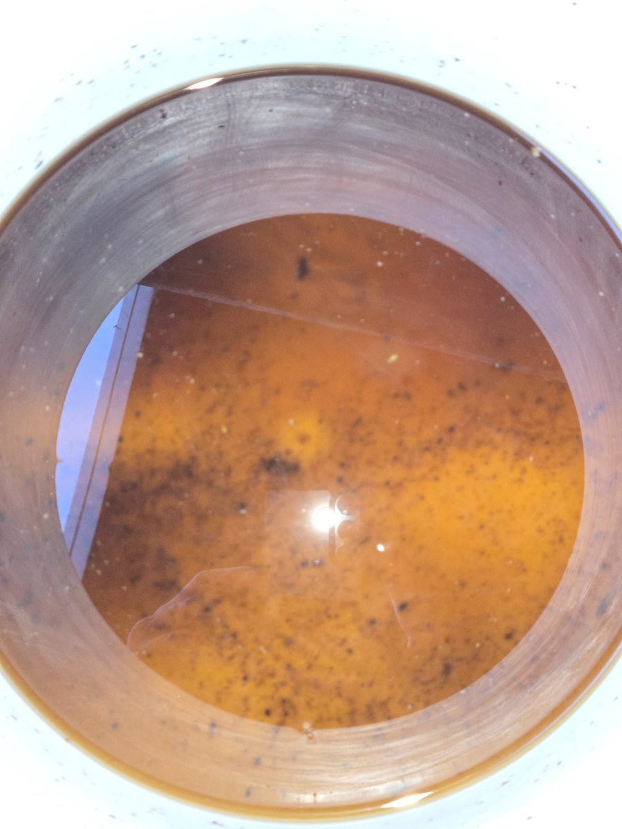 Vecosystem_t's tweet image. 🫡Drained my #Bokashi bucket for it&apos;s #Leachate  #Tea today🥳! It&apos;s got such a strong pickled sweet fermentaion smell💪🥒🍬🍵👃☺️. 

Going to dilute 1:100 and water some plants with @plant2earnxyz 💧🪴

#composting @cleanify_vet #VeBetterDAO #Vechain #Sustainability